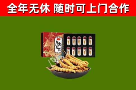 灵丘回收冬虫夏草价格